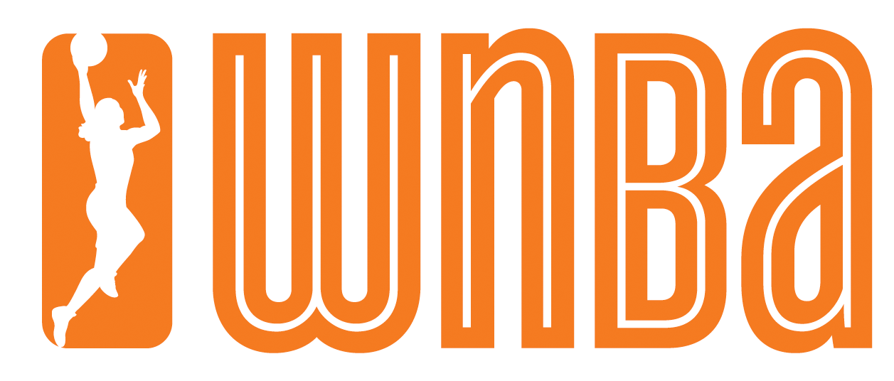 WNBA 2013-Pres Alternate Logo iron on transfers for T-shirts